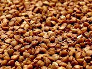 ������ �����. ����� ������. - ����������