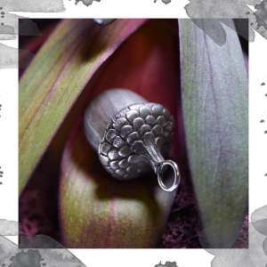 ������ ����� "������"