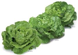 ������ ����� ������ ����