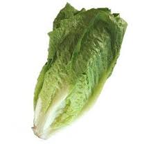 ������ ����� ������ ����