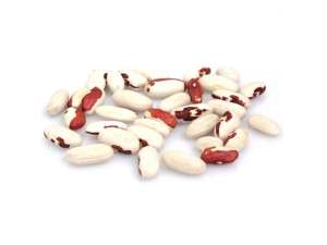 ������ ����� ������� - ����������