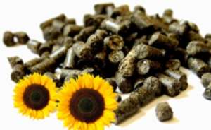 ������ �����, ������� � �������� - ����������