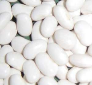 ������ ����� ������� ��� ������ ����������� - ����������