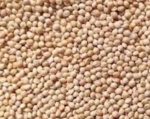 ������ �����. ������� ������� �����. - ����������