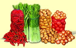 ������ ����� ������� (�������� �����) - ����������