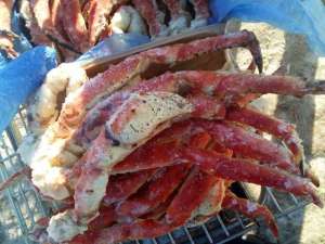 ������ ����� ����������� - ����������