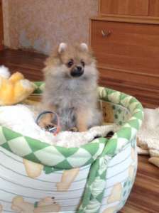 ������ ����� ������������ �����