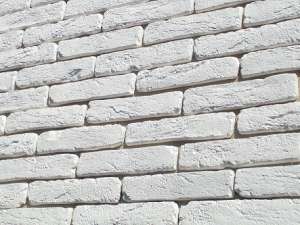 ������ ����� ������������ ������ ��� ��������� ����� - ����������