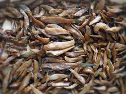 ������ ����� �����-�������� ���� - ����������