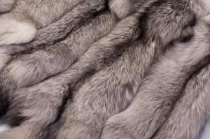 ������ ����� �����,���������� � �����. - ����������