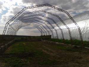 ������ ������ 15�30