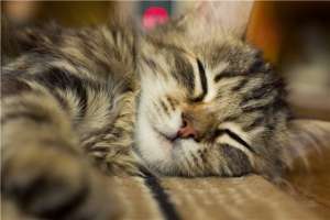 ������ ������!