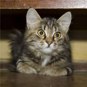 ������ ������!