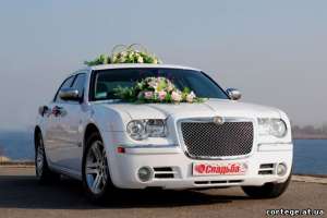 ������ ������