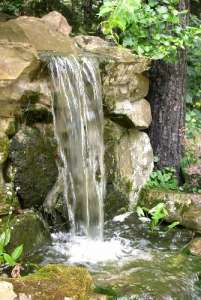 ������ ������