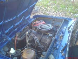 ������ ������