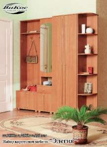 ������ ������