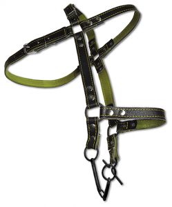 ������ ������