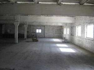 ������ ������