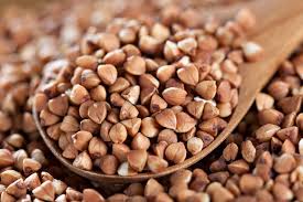 ������ ������. ³� 5 ���� - ����������