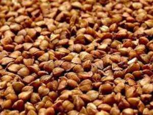 ������ ������. ³� 5 ���� - ����������