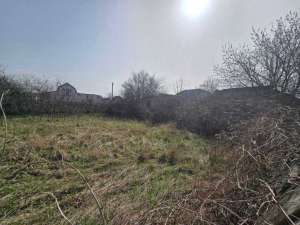 ������ ������ �� ������� �������� ���, ����������, 110000 $