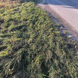 ������ ������ �� ������� �������� ����������, �����, 120000 $