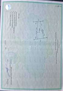 ������ ������ �� ������� �������� ����������, �����, 350000 $