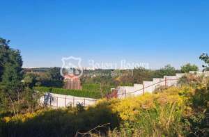 ������ ������ �� ������� �������� �����������, ����, 63000 $ - ����������