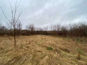 ������ ������ �� ������� �������� �����������, �����, 400000 ���.