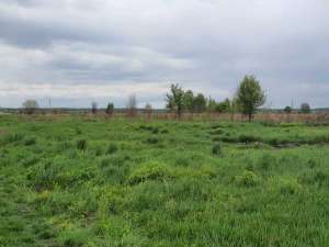 ������ ������ �� ������� �������� �����������, ����� ����������, 10000 $ - ����������