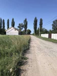 ������ ������ �� ������� �������� �����������, ������, 15000 $