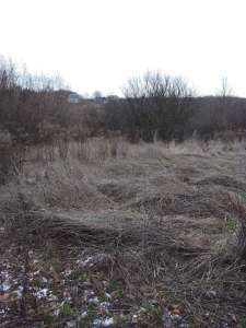 ������ ������ �� ������� �������� �����������, ��������, 4000 $ - ����������