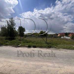 ������ ������ �� ������� �������� �����������, ����������, 50000 $ - ����������