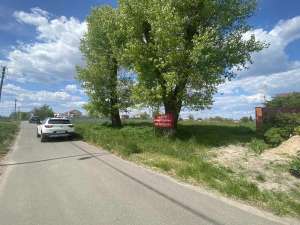 ������ ������ �� ������� �������� �������������, ������, 15000 $ - ����������