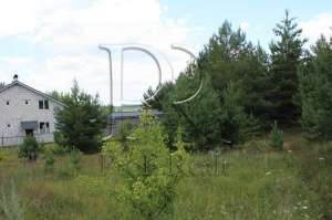 ������ ������ �� ������� �������� ��������������, �������, 19699 $