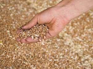 ������ ������ �.�. �������, ���������� �/� ������� - ����������