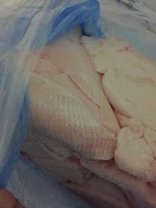 ������ ������ ���� �����