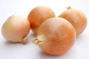 ������ ������ ���� �������� - ����������