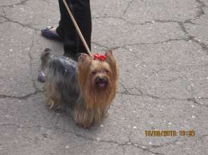 ������ ������ ����� - ����������