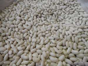 ������ ������. ������ ������� - ����������