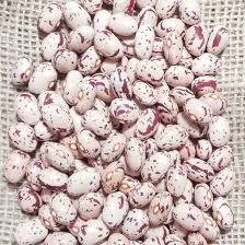 ������ ������ ������. ������� ������� ������. ���