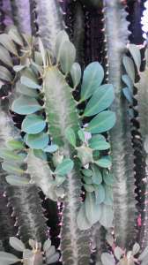 ������ ������ �������!