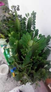 ������ ������ �������!