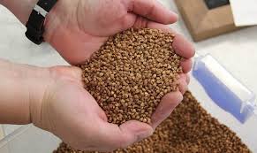 ������ ������, �������. ³� 5 ����