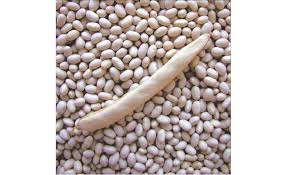 ������ ������. ������� ������� ������. ��� - ����������