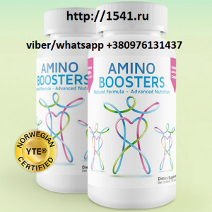 ������ ������ ������� ������� ���������� ������� � 4 ���� LPGN - ����������