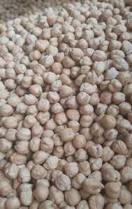 ������ ������ ������� �������� �� ���� - ����������