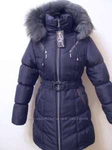 ������ ������ ��������