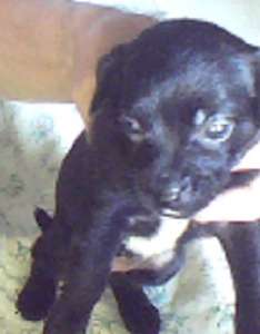 ������ ������ ��������.